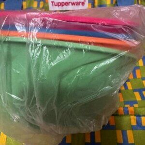 Tupperware Everyday Large Bowls - 4pc Set